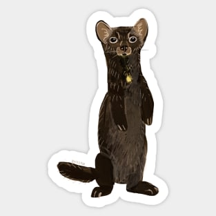 Sable Marten in Red Sticker